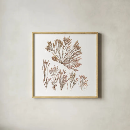 Pacific Sea Mosses XXI White Sq by Wild Apple Portfolio. Shown in a natural wood glass frame for a timeless modern aesthetic. Available as an archival giclee rolled canvas, fine art paper, or poster print. SKU 51619a.