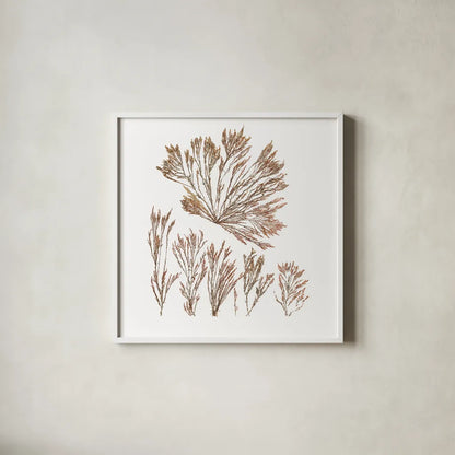 Pacific Sea Mosses XXI White Sq by Wild Apple Portfolio. Shown in a crisp white glass frame for a clean and minimalist style. Available as an archival giclee rolled canvas, fine art paper, or poster print. SKU 51619a.
