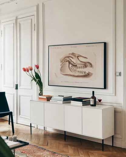 Palaeotherium Skull Illustrated by Wild Apple Portfolio. shown as a framed stretched canvas in a living room above a console. Available as a archival giclee rolled canvas, fine art paper, or poster print. SKU 90319i.