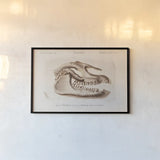Palaeotherium Skull Illustrated by Wild Apple Portfolio. shown as a paper print in a black flame. Available as a archival giclee rolled canvas, fine art paper, or poster print. SKU 90319i.