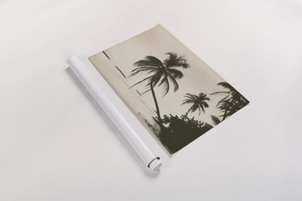 Palm Beach I by Wild Apple Portfolio. shown as a rolled paper print. Available as archival giclee rolled canvas, fine art paper, or poster print. SKU 74493i.