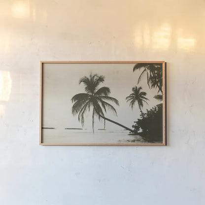 Palm Beach I by Wild Apple Portfolio. shown as a paper print in a natural frame. Available as a archival giclee rolled canvas, fine art paper, or poster print. SKU 74493i.
