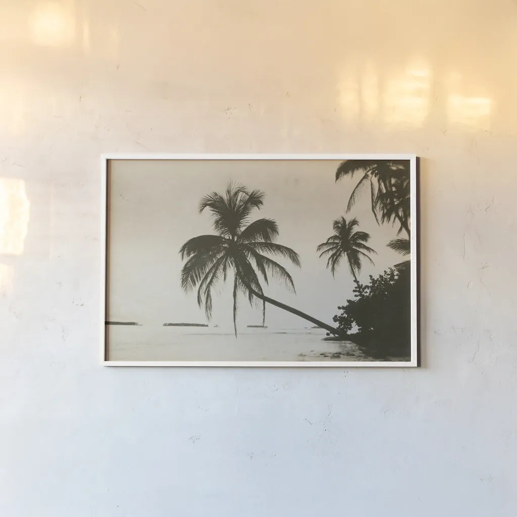 Palm Beach I by Wild Apple Portfolio. shown as a paper print in a white frame. Available as a archival giclee rolled canvas, fine art paper, or poster print. SKU 74493i.