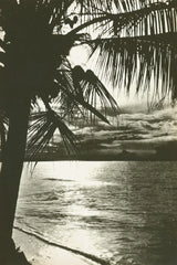 Palm Beach II by Wild Apple Portfolio. SKU 74494h. Archival Giclee Fine art print for wall decor.