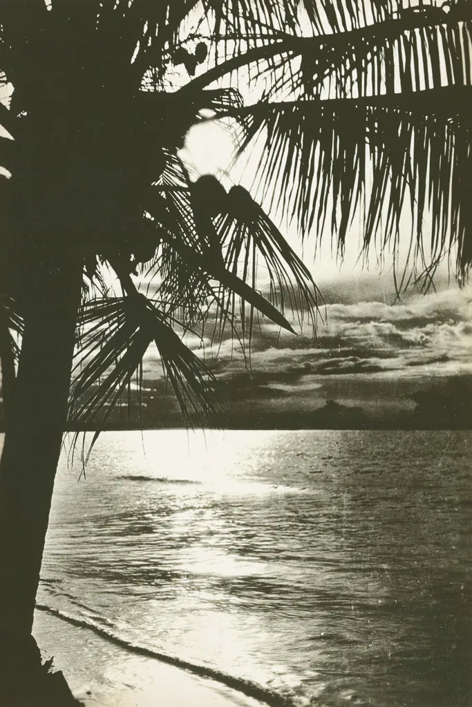 Palm Beach II by Wild Apple Portfolio. SKU 74494h. Archival Giclee Fine art print for wall decor.