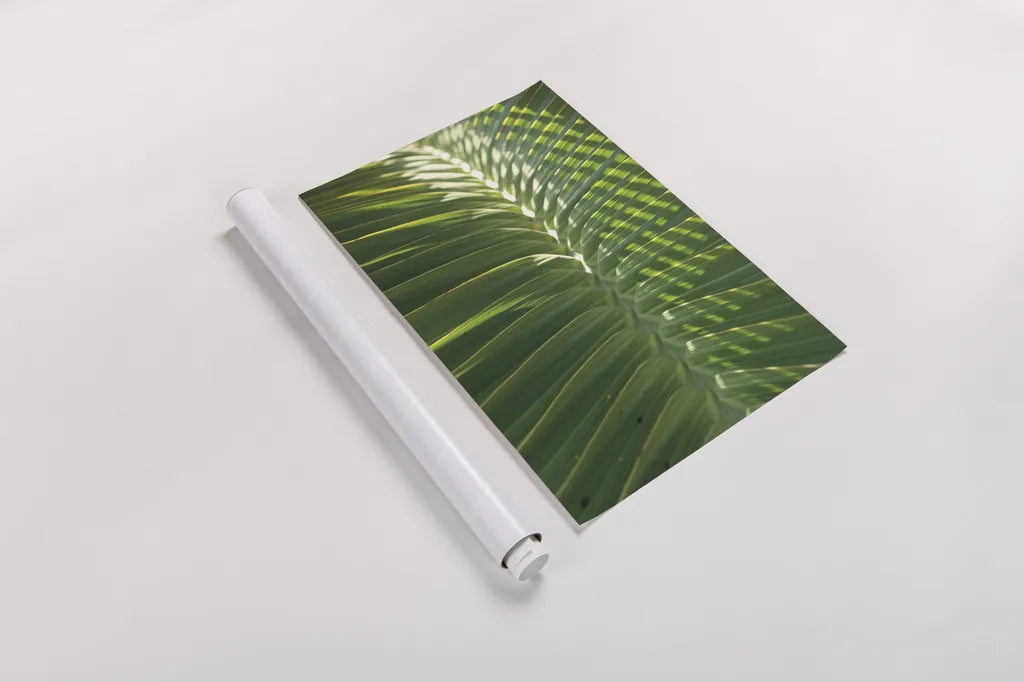 Palm Detail I by Wild Apple Portfolio. shown as a rolled paper print. Available as archival giclee rolled canvas, fine art paper, or poster print. SKU 56300h.
