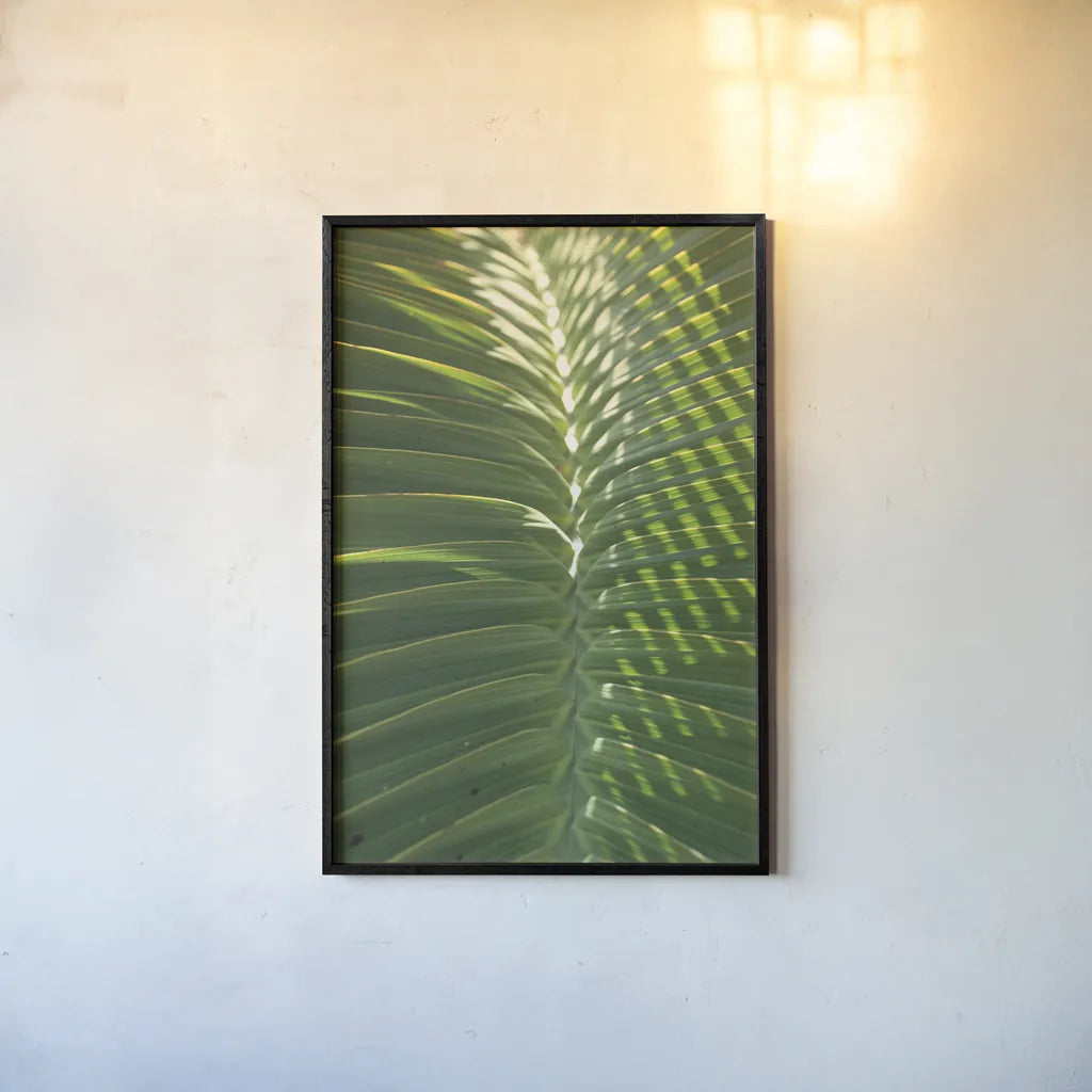 Palm Detail I by Wild Apple Portfolio. shown as a paper print in a black flame. Available as a archival giclee rolled canvas, fine art paper, or poster print. SKU 56300h.