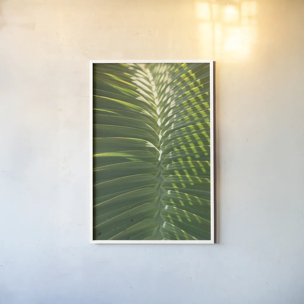 Palm Detail I by Wild Apple Portfolio. shown as a paper print in a white frame. Available as a archival giclee rolled canvas, fine art paper, or poster print. SKU 56300h.