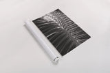 Palm Detail I BW by Wild Apple Portfolio. shown as a rolled paper print. Available as archival giclee rolled canvas, fine art paper, or poster print. SKU 56304h.