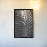 Palm Detail I BW by Wild Apple Portfolio. shown as a paper print in a black flame. Available as a archival giclee rolled canvas, fine art paper, or poster print. SKU 56304h.
