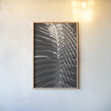 Palm Detail I BW by Wild Apple Portfolio. shown as a paper print in a natural frame. Available as a archival giclee rolled canvas, fine art paper, or poster print. SKU 56304h.