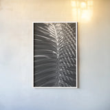 Palm Detail I BW by Wild Apple Portfolio. shown as a paper print in a white frame. Available as a archival giclee rolled canvas, fine art paper, or poster print. SKU 56304h.