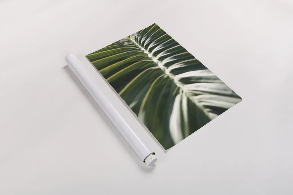Palm Detail II by Wild Apple Portfolio. shown as a rolled paper print. Available as archival giclee rolled canvas, fine art paper, or poster print. SKU 56301h.