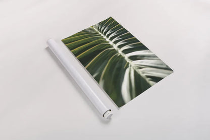 Palm Detail II by Wild Apple Portfolio. shown as a rolled paper print. Available as archival giclee rolled canvas, fine art paper, or poster print. SKU 56301h.