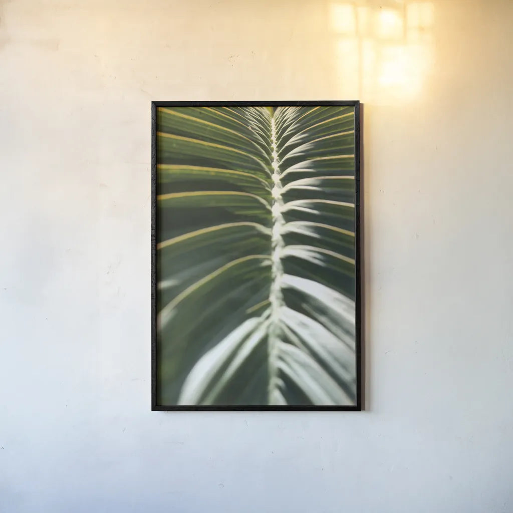 Palm Detail II by Wild Apple Portfolio. shown as a paper print in a black flame. Available as a archival giclee rolled canvas, fine art paper, or poster print. SKU 56301h.