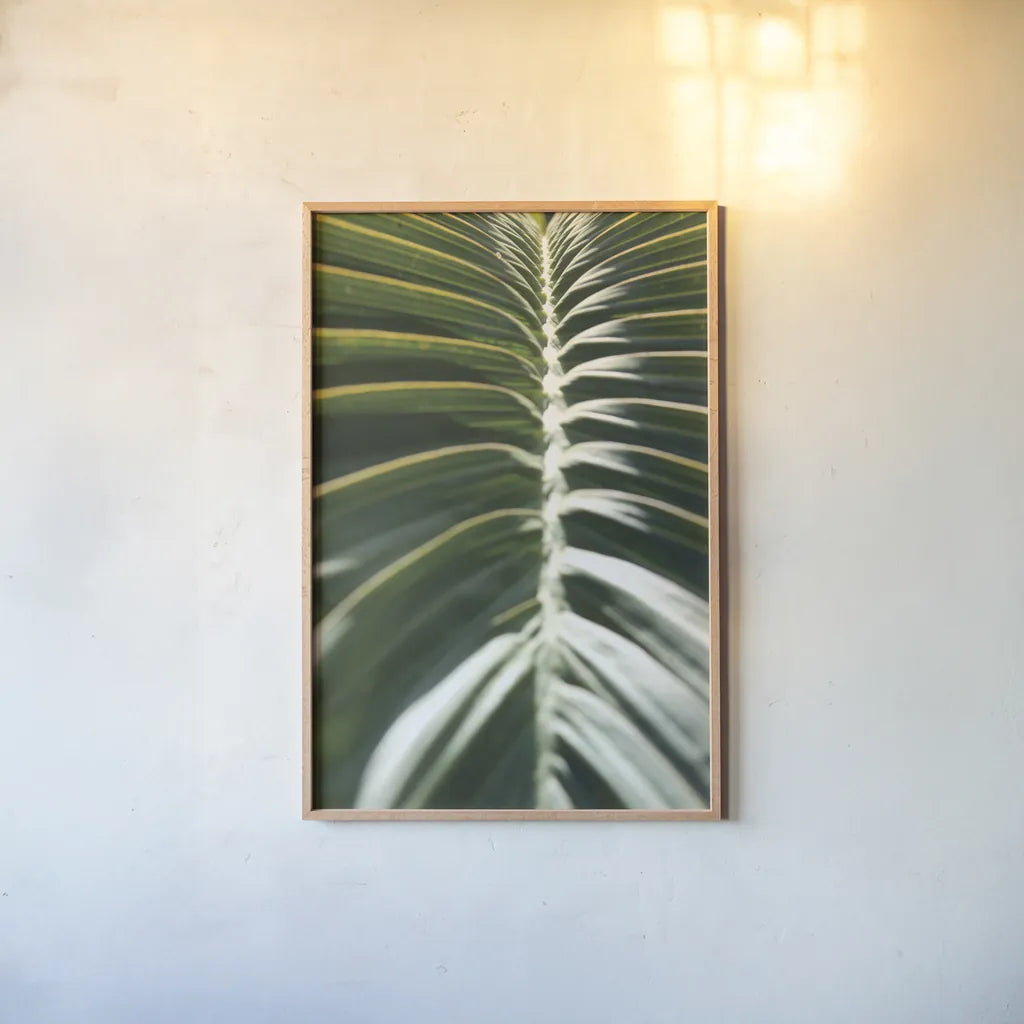 Palm Detail II by Wild Apple Portfolio. shown as a paper print in a natural frame. Available as a archival giclee rolled canvas, fine art paper, or poster print. SKU 56301h.