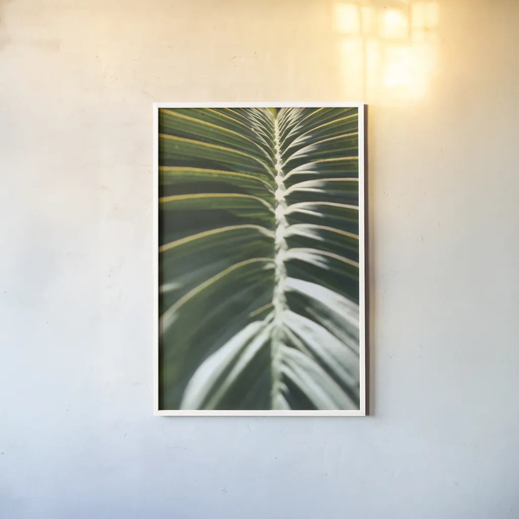 Palm Detail II by Wild Apple Portfolio. shown as a paper print in a white frame. Available as a archival giclee rolled canvas, fine art paper, or poster print. SKU 56301h.