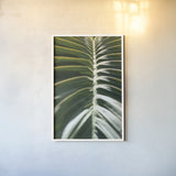 Palm Detail II by Wild Apple Portfolio. shown as a paper print in a white frame. Available as a archival giclee rolled canvas, fine art paper, or poster print. SKU 56301h.