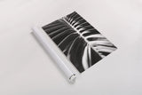Palm Detail II BW by Wild Apple Portfolio. shown as a rolled paper print. Available as archival giclee rolled canvas, fine art paper, or poster print. SKU 56305h.