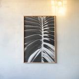 Palm Detail II BW by Wild Apple Portfolio. shown as a paper print in a natural frame. Available as a archival giclee rolled canvas, fine art paper, or poster print. SKU 56305h.
