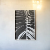 Palm Detail II BW by Wild Apple Portfolio. shown as a paper print in a white frame. Available as a archival giclee rolled canvas, fine art paper, or poster print. SKU 56305h.