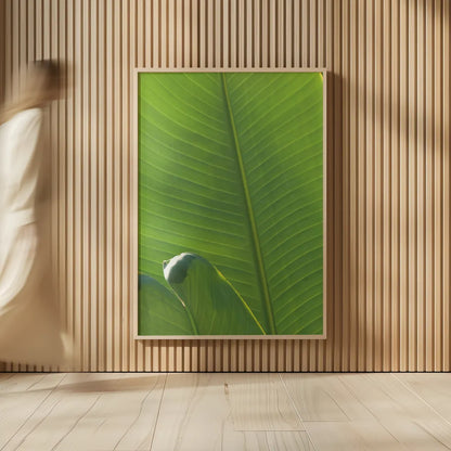 Palm Detail III by Wild Apple Portfolio. shown as over sized large wall art. Available as an archival giclee rolled canvas, fine art paper, or poster print. SKU 56302h.