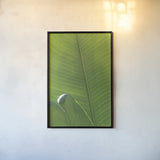 Palm Detail III by Wild Apple Portfolio. shown as a paper print in a black flame. Available as a archival giclee rolled canvas, fine art paper, or poster print. SKU 56302h.