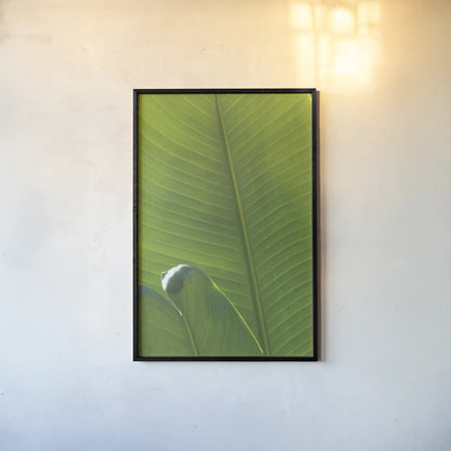 Palm Detail III by Wild Apple Portfolio. shown as a paper print in a black flame. Available as a archival giclee rolled canvas, fine art paper, or poster print. SKU 56302h.