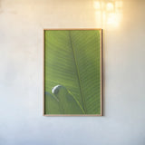 Palm Detail III by Wild Apple Portfolio. shown as a paper print in a natural frame. Available as a archival giclee rolled canvas, fine art paper, or poster print. SKU 56302h.