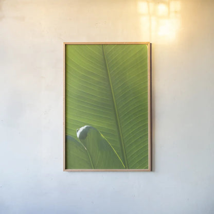 Palm Detail III by Wild Apple Portfolio. shown as a paper print in a natural frame. Available as a archival giclee rolled canvas, fine art paper, or poster print. SKU 56302h.