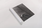 Palm Detail III BW by Wild Apple Portfolio. shown as a rolled paper print. Available as archival giclee rolled canvas, fine art paper, or poster print. SKU 56306h.