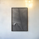 Palm Detail III BW by Wild Apple Portfolio. shown as a paper print in a black flame. Available as a archival giclee rolled canvas, fine art paper, or poster print. SKU 56306h.