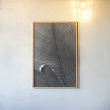 Palm Detail III BW by Wild Apple Portfolio. shown as a paper print in a natural frame. Available as a archival giclee rolled canvas, fine art paper, or poster print. SKU 56306h.