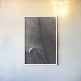 Palm Detail III BW by Wild Apple Portfolio. shown as a paper print in a white frame. Available as a archival giclee rolled canvas, fine art paper, or poster print. SKU 56306h.