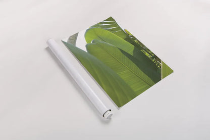 Palm Detail IV by Wild Apple Portfolio. shown as a rolled paper print. Available as archival giclee rolled canvas, fine art paper, or poster print. SKU 56303h.