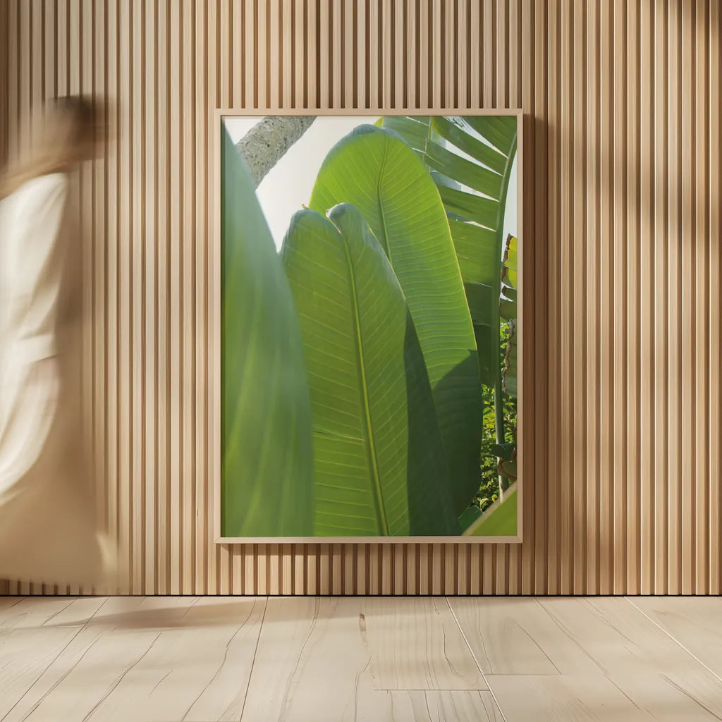 Palm Detail IV by Wild Apple Portfolio. shown as over sized large wall art. Available as an archival giclee rolled canvas, fine art paper, or poster print. SKU 56303h.