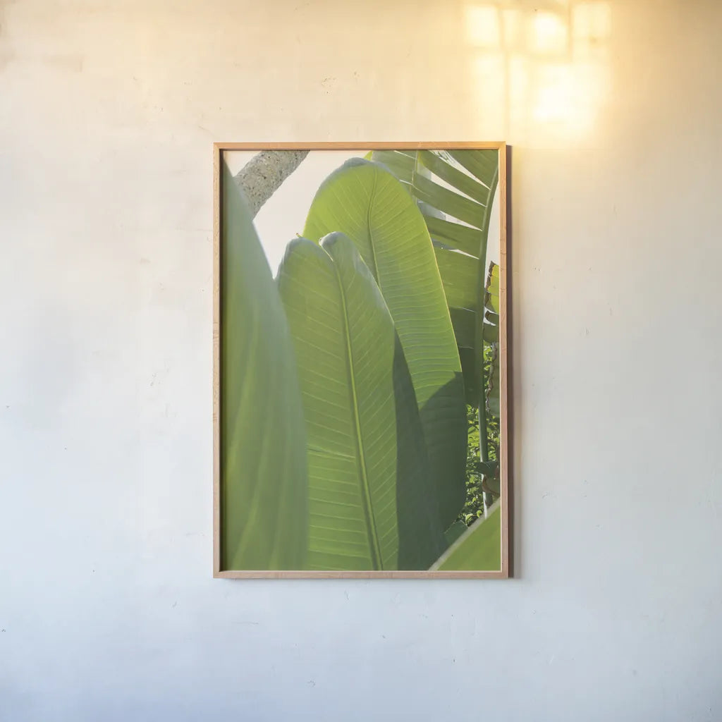 Palm Detail IV by Wild Apple Portfolio. shown as a paper print in a natural frame. Available as a archival giclee rolled canvas, fine art paper, or poster print. SKU 56303h.