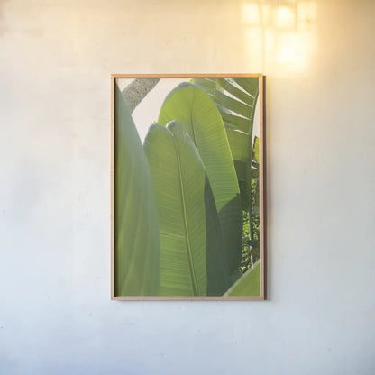 Palm Detail IV by Wild Apple Portfolio. shown as a paper print in a natural frame. Available as a archival giclee rolled canvas, fine art paper, or poster print. SKU 56303h.