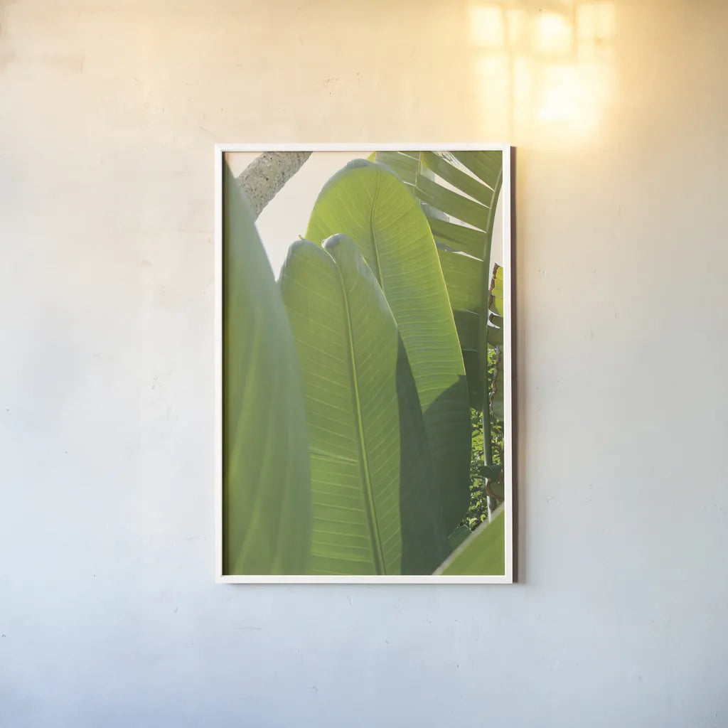 Palm Detail IV by Wild Apple Portfolio. shown as a paper print in a white frame. Available as a archival giclee rolled canvas, fine art paper, or poster print. SKU 56303h.