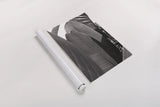 Palm Detail IV BW by Wild Apple Portfolio. shown as a rolled paper print. Available as archival giclee rolled canvas, fine art paper, or poster print. SKU 56307h.