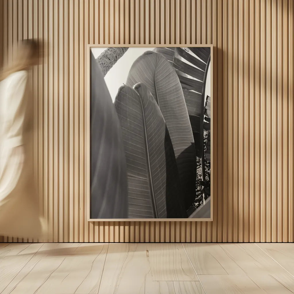 Palm Detail IV BW by Wild Apple Portfolio. shown as over sized large wall art. Available as an archival giclee rolled canvas, fine art paper, or poster print. SKU 56307h.