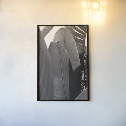 Palm Detail IV BW by Wild Apple Portfolio. shown as a paper print in a black flame. Available as a archival giclee rolled canvas, fine art paper, or poster print. SKU 56307h.