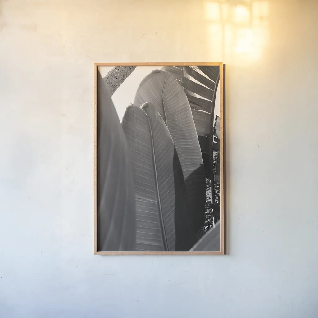 Palm Detail IV BW by Wild Apple Portfolio. shown as a paper print in a natural frame. Available as a archival giclee rolled canvas, fine art paper, or poster print. SKU 56307h.