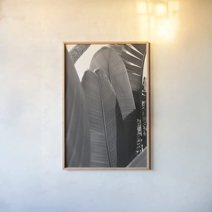 Palm Detail IV BW by Wild Apple Portfolio. shown as a paper print in a natural frame. Available as a archival giclee rolled canvas, fine art paper, or poster print. SKU 56307h.