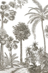 Palm Oasis I by Wild Apple Portfolio. SKU 59891h. Archival Giclee Fine art print for wall decor.