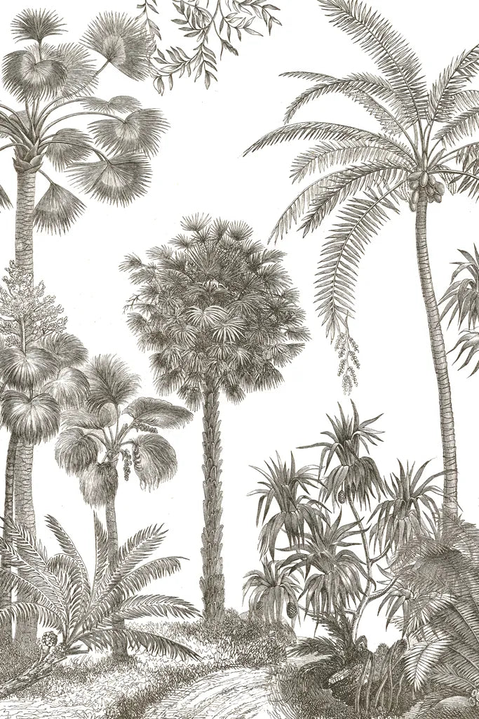 Palm Oasis I by Wild Apple Portfolio. SKU 59891h. Archival Giclee Fine art print for wall decor.