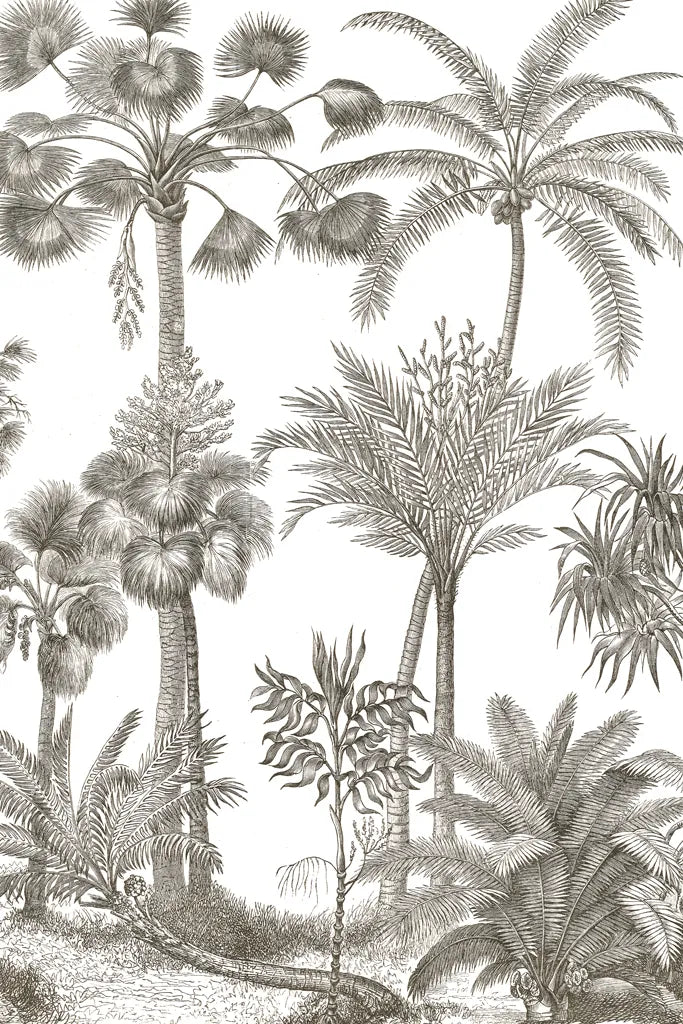 Palm Oasis II by Wild Apple Portfolio. SKU 59892h. Archival Giclee Fine art print for wall decor.
