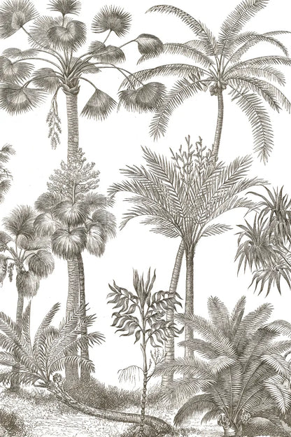 Palm Oasis II by Wild Apple Portfolio. SKU 59892h. Archival Giclee Fine art print for wall decor.