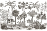 Palm Oasis III by Wild Apple Portfolio. SKU 77946i. Archival Giclee Fine art print for wall decor.