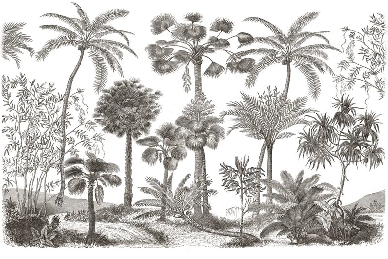 Palm Oasis III by Wild Apple Portfolio. SKU 77946i. Archival Giclee Fine art print for wall decor.
